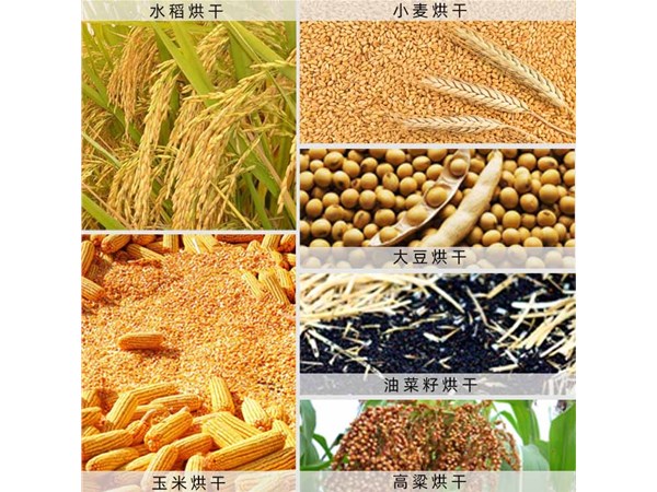 果蔬烘干房成為廣大農民朋友的烘干主力設備