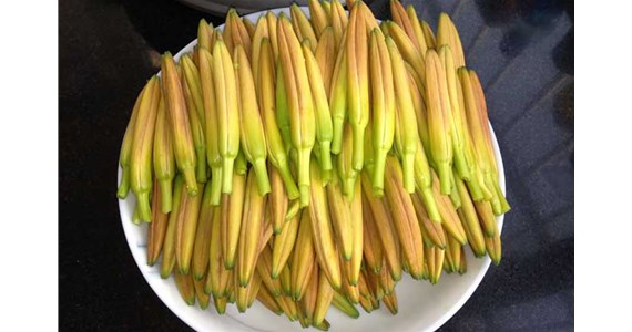 用黃花菜烘干機烘干后的黃花菜好吃嗎？